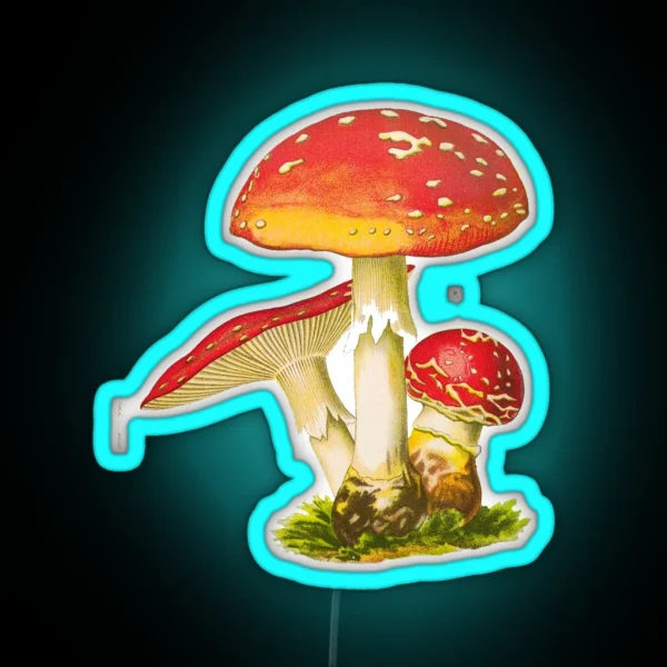 Fly Agaric Mushroom RGB Neon Sign