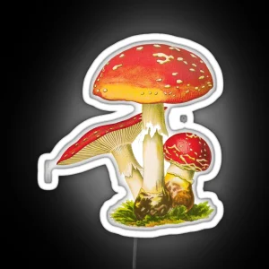 Fly Agaric Mushroom RGB Neon Sign