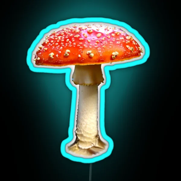 Fly Agaric RGB Neon Sign