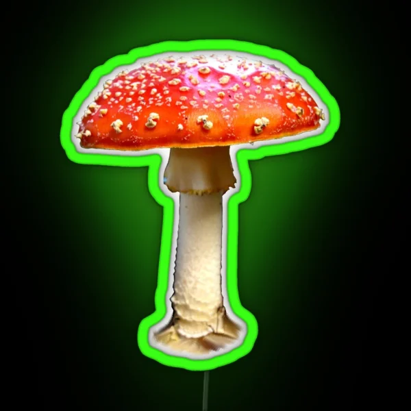 Fly Agaric RGB Neon Sign