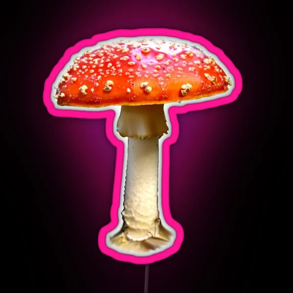 Fly Agaric RGB Neon Sign
