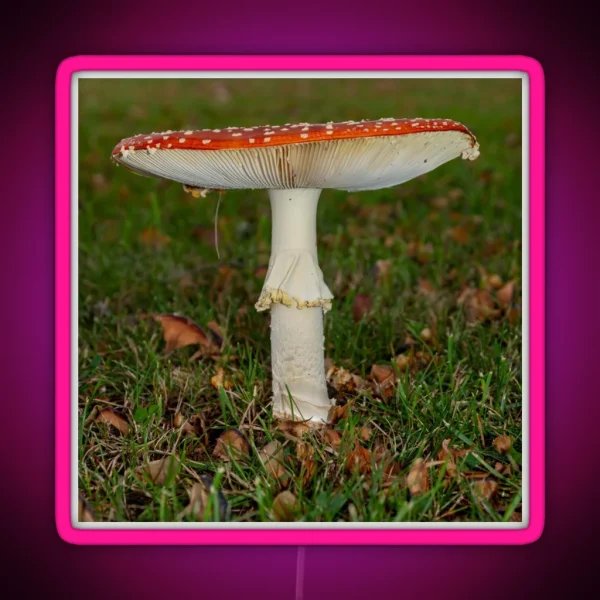 Fly Agaric Square RGB Neon Sign