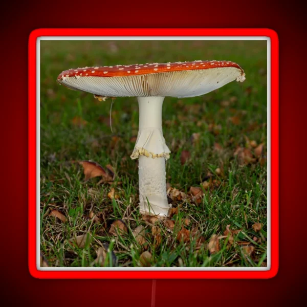 Fly Agaric Square RGB Neon Sign