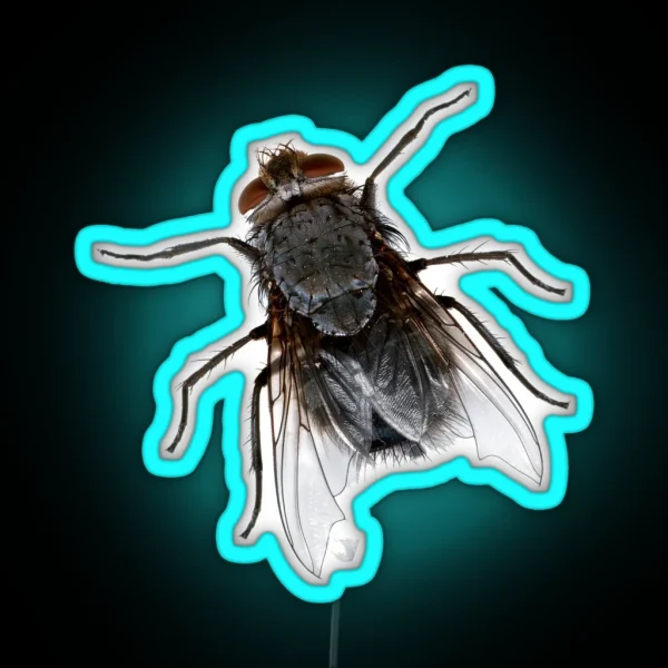 Fly Mosca RGB Neon Sign