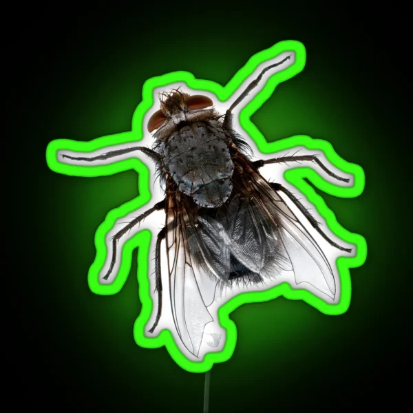 Fly Mosca RGB Neon Sign