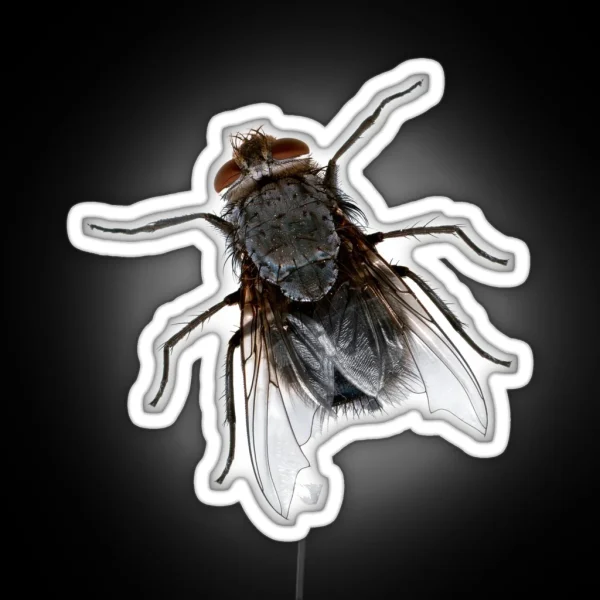 Fly Mosca RGB Neon Sign