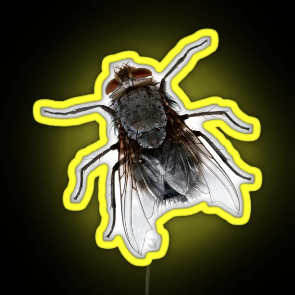 Fly Mosca RGB Neon Sign