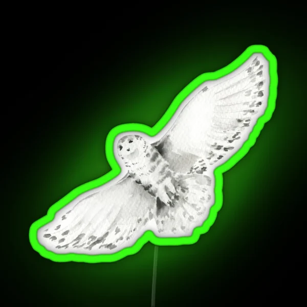 Flying Owl For Wizards RGB Neon Sign