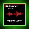 FOR WHAT Kimi Raikkonen F1 Led F1 Mug F1 Phone Case F1 Hat RGB Neon Sign - Image 3