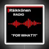 FOR WHAT Kimi Raikkonen F1 Led F1 Mug F1 Phone Case F1 Hat RGB Neon Sign - Image 4