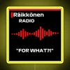 FOR WHAT Kimi Raikkonen F1 Led F1 Mug F1 Phone Case F1 Hat RGB Neon Sign - Image 5