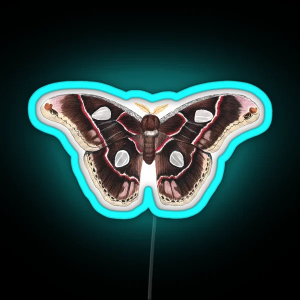 Forbes Silkmoth Rothschildia Forbesi RGB Neon Sign