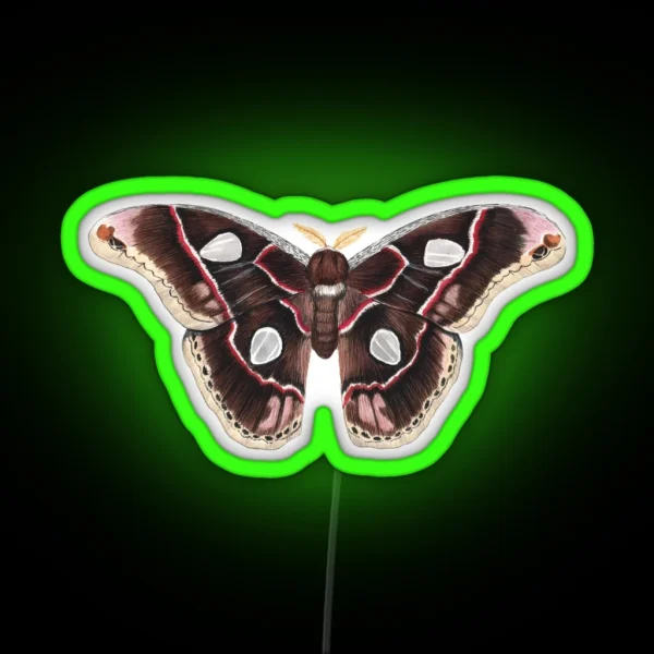 Forbes Silkmoth Rothschildia Forbesi RGB Neon Sign