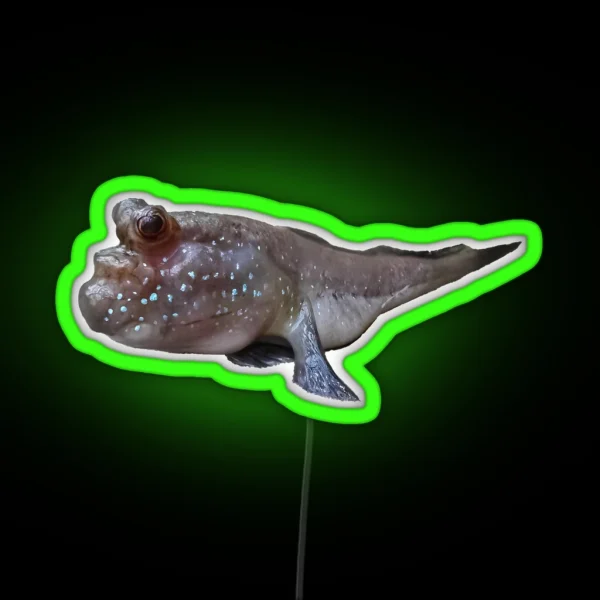 Friendly Mudskipper Amphibian Fish On Land With Bug Eyes RGB Neon Sign