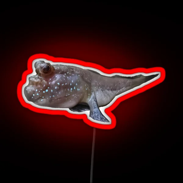 Friendly Mudskipper Amphibian Fish On Land With Bug Eyes RGB Neon Sign