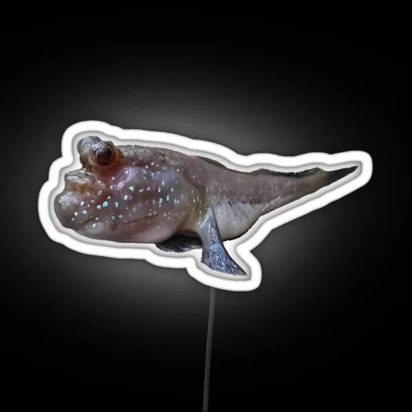 Friendly Mudskipper Amphibian Fish On Land With Bug Eyes RGB Neon Sign