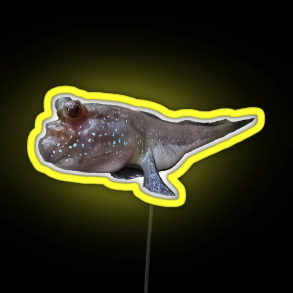 Friendly Mudskipper Amphibian Fish On Land With Bug Eyes RGB Neon Sign
