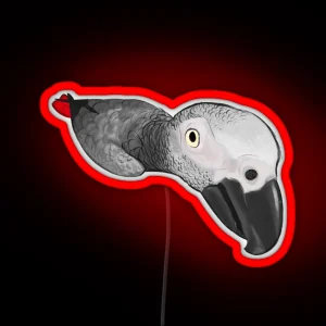 Funky Angle African Grey RGB Neon Sign