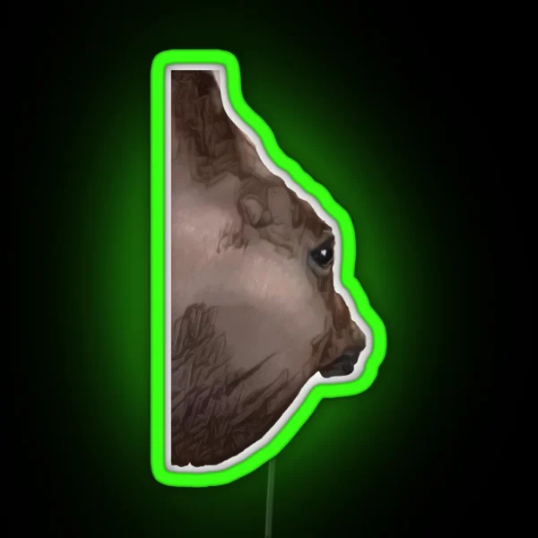 Funny Angle Horse Side Eye Meme RGB Neon Sign