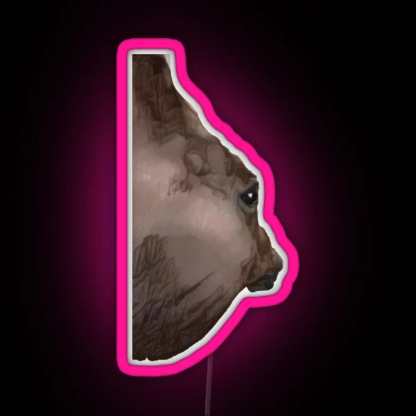 Funny Angle Horse Side Eye Meme RGB Neon Sign