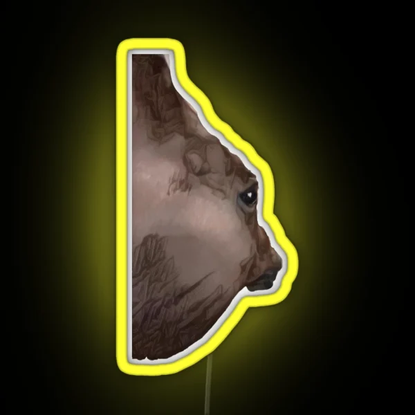 Funny Angle Horse Side Eye Meme RGB Neon Sign