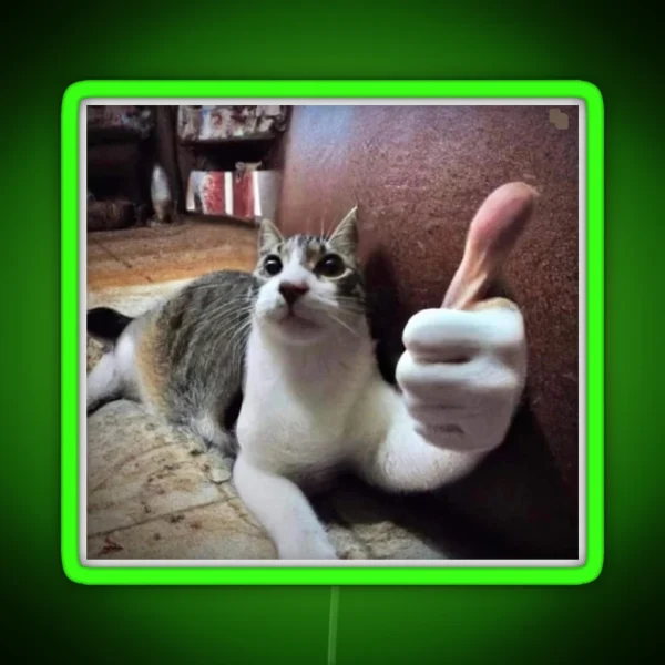 Funny Cat Meme Human Hand Thumbs Up RGB Neon Sign