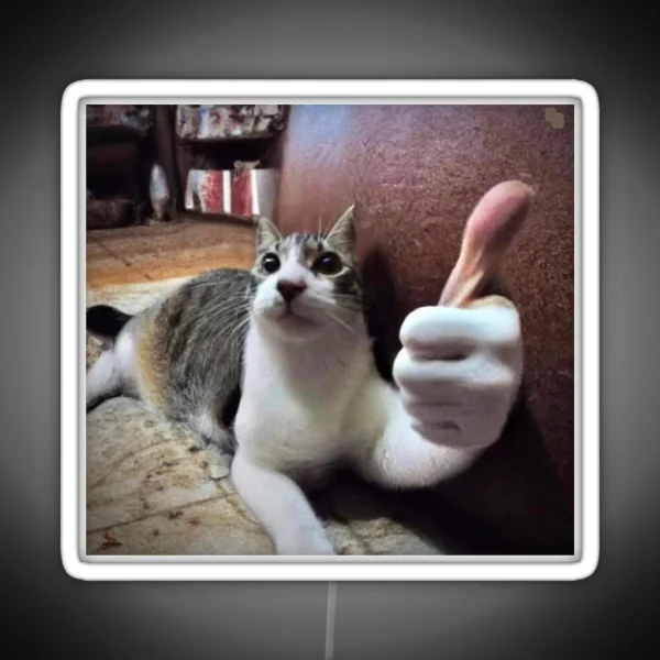 Funny Cat Meme Human Hand Thumbs Up RGB Neon Sign