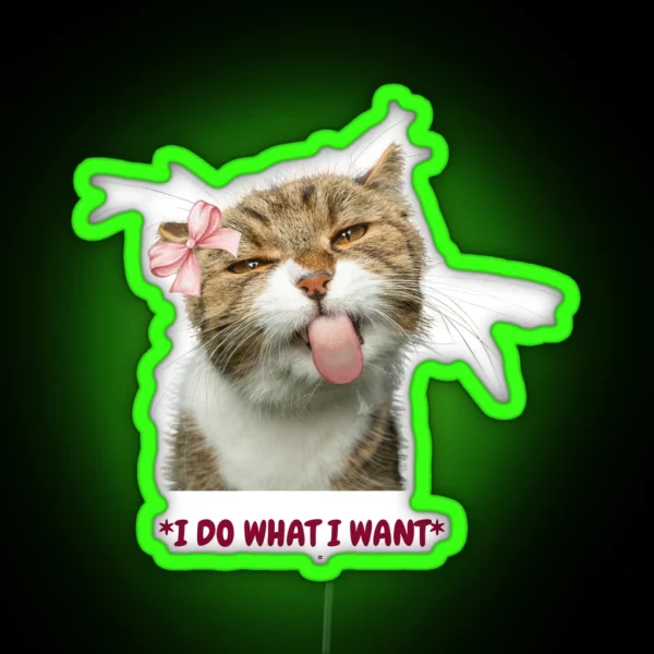 Funny Cat RGB Neon Sign