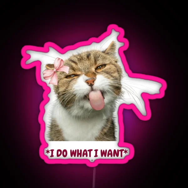 Funny Cat RGB Neon Sign