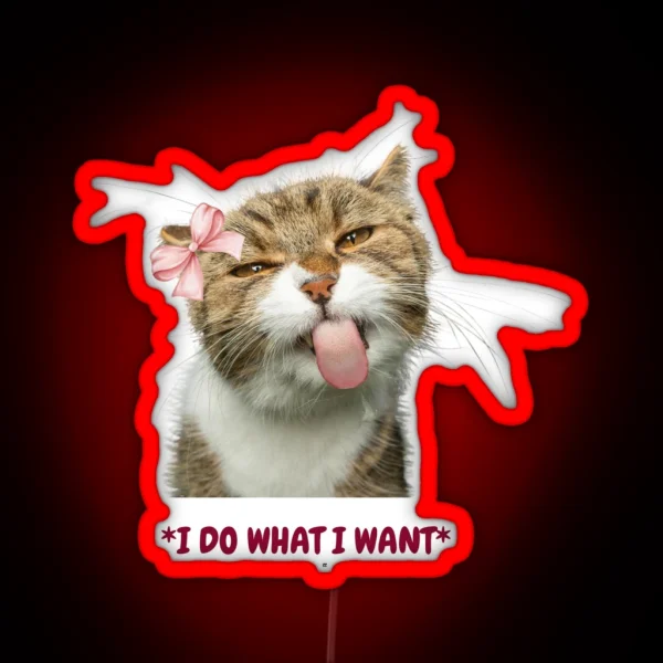 Funny Cat RGB Neon Sign