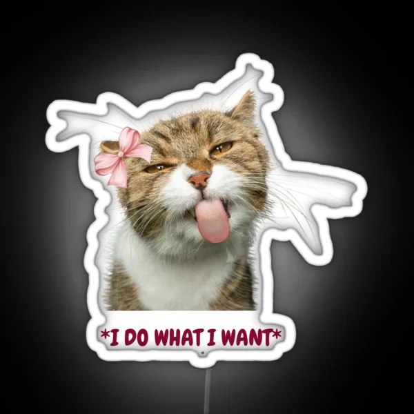 Funny Cat RGB Neon Sign