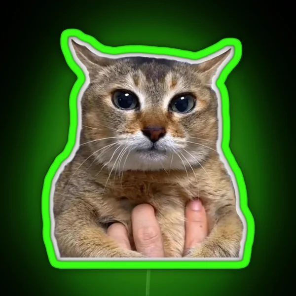 Funny Cat Tole Tole RGB Neon Sign