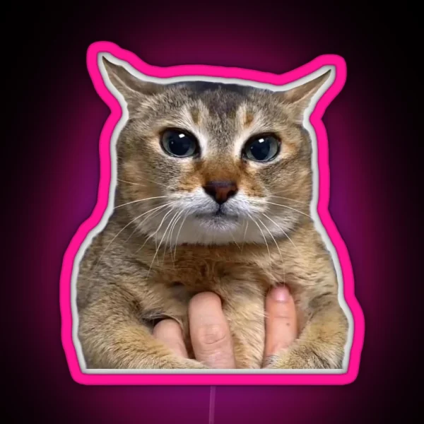 Funny Cat Tole Tole RGB Neon Sign