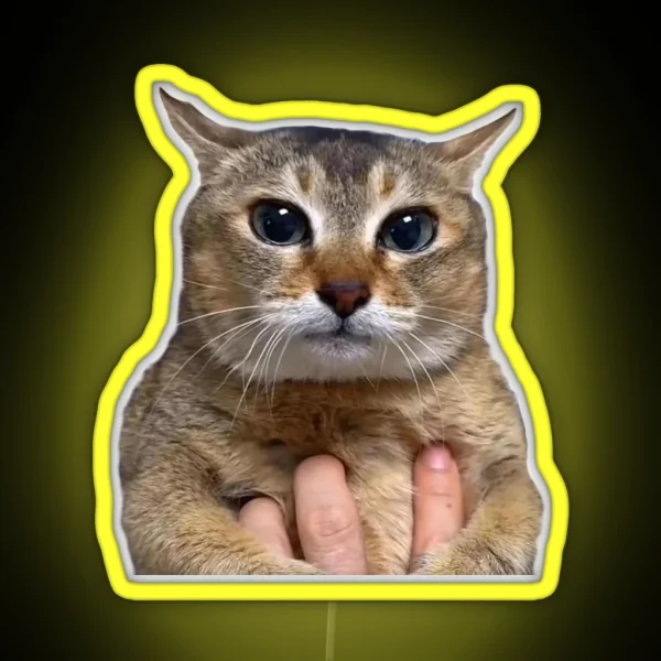 Funny Cat Tole Tole RGB Neon Sign