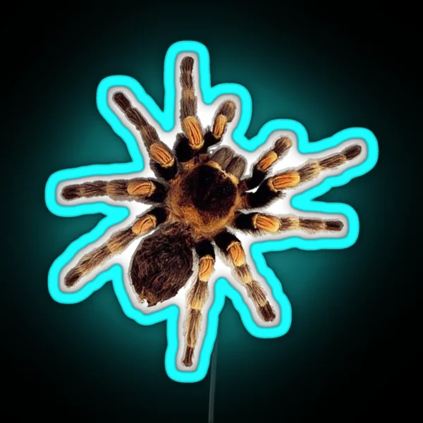 Funny Climbing Tarantula Big Spider Lover RGB Neon Sign