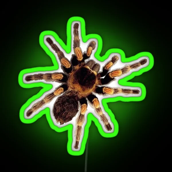 Funny Climbing Tarantula Big Spider Lover RGB Neon Sign