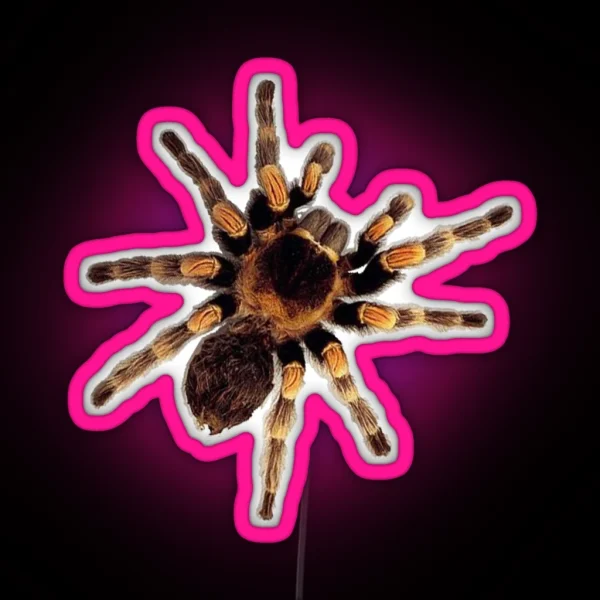 Funny Climbing Tarantula Big Spider Lover RGB Neon Sign