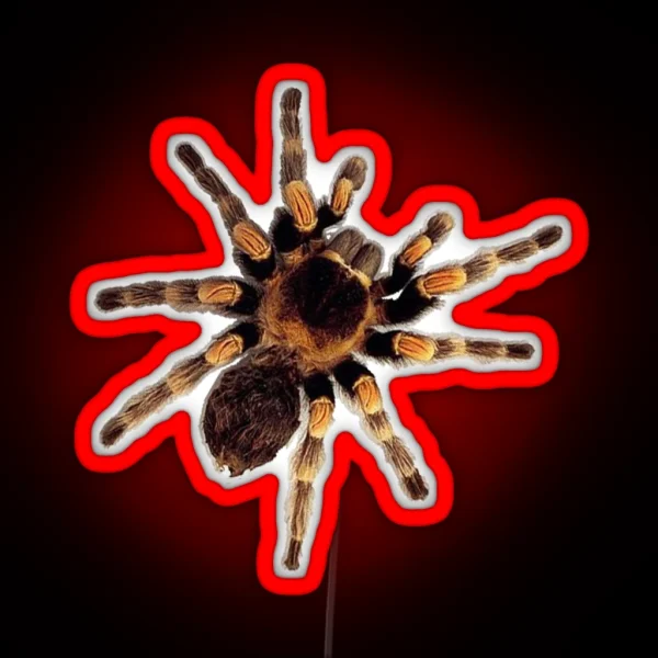 Funny Climbing Tarantula Big Spider Lover RGB Neon Sign