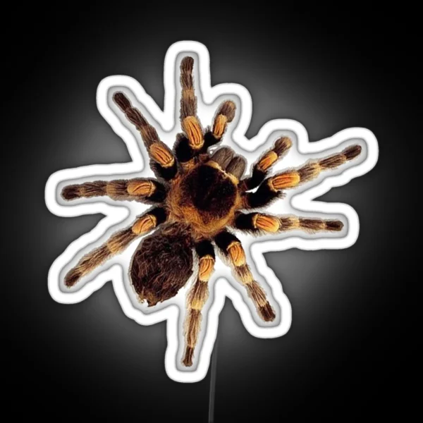 Funny Climbing Tarantula Big Spider Lover RGB Neon Sign