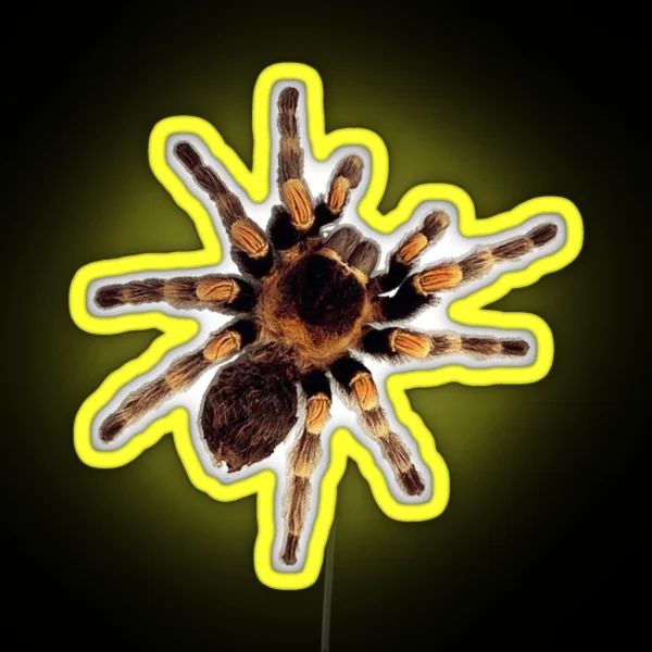 Funny Climbing Tarantula Big Spider Lover RGB Neon Sign