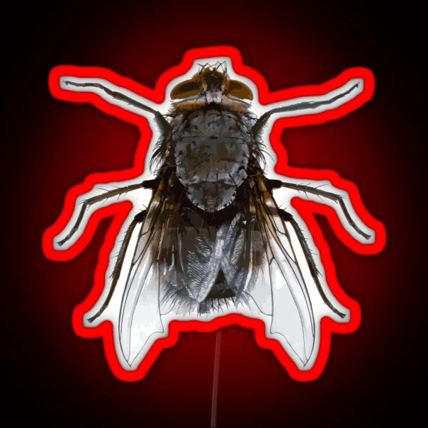 Funny Costume Housefly Insect DIY Gift Ugly Halloween House Fly RGB Neon Sign