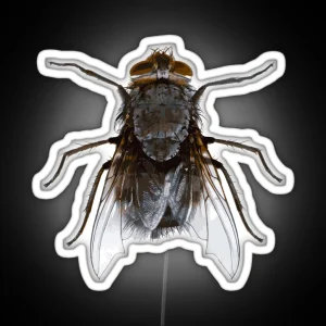 Funny Costume Housefly Insect DIY Gift Ugly Halloween House Fly RGB Neon Sign