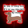 Funny German RGB Neon Sign - Image 2