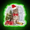 Funny Tabcat Wear Santa Hat Xmas RGB Neon Sign - Image 4