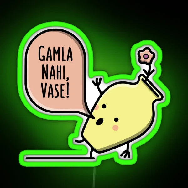 Gamla Nahi Vase Funny Bollywood Gifts RGB Neon Sign