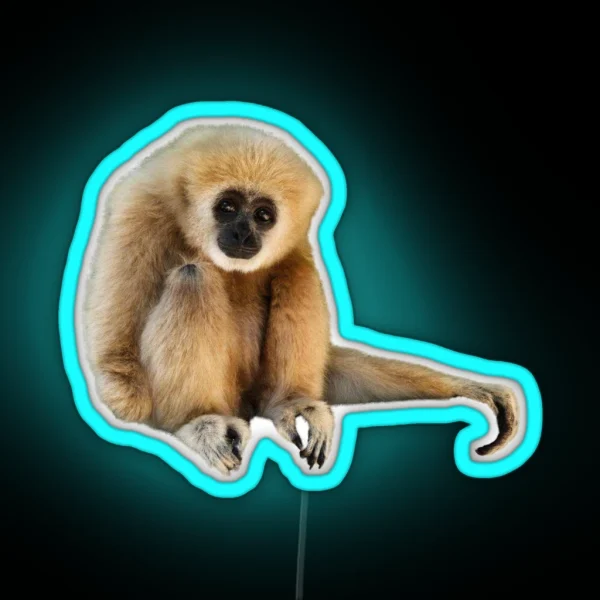Gary Sitting Cutout RGB Neon Sign