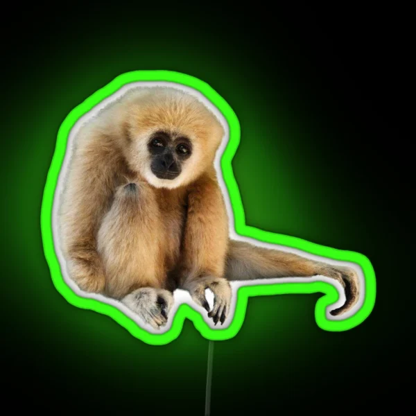 Gary Sitting Cutout RGB Neon Sign