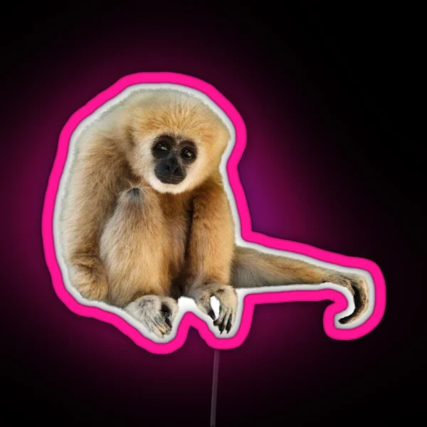 Gary Sitting Cutout RGB Neon Sign
