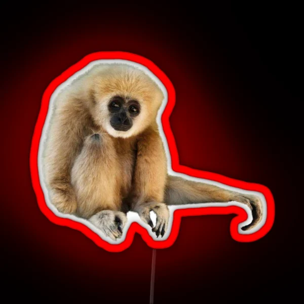 Gary Sitting Cutout RGB Neon Sign