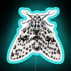 Giant Leopard Moth Hypercompe Scribonia RGB Neon Sign - Image 3